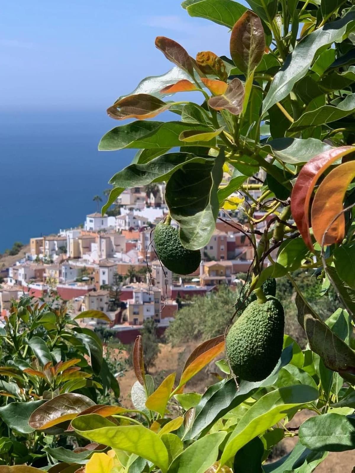 Apartament Casa Grace Nerja Zewnętrze zdjęcie